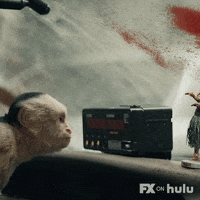 YTheLastMan monkey fx hulu annoying GIF