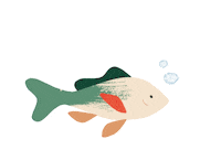 SunbridgeFL art food water animal Sticker