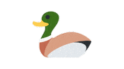 emojivid animals emoji duck emojivid Sticker