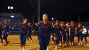 Florida Atlantic University Fau Owls GIF by Smooth Wave