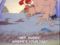 ren and stimpy nicksplat GIF