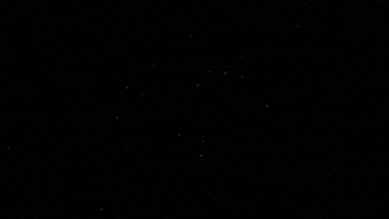 Computer Science Movie GIF by Magnolia Pictures