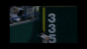 BeaverBaseball baseball ncaa college world series oregon state GIF