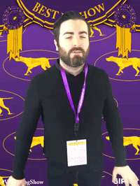 wkcdogshow GIF by Westminster Kennel Club
