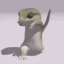 sushitornado dancing lizard GIF