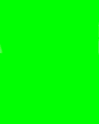 Gruenelsa GIF by Grüne Sachsen-Anhalt