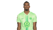 Pondering Germany Sticker by VfL Wolfsburg
