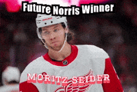 Red Wings Nhl GIF