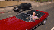 driving guy fieri GIF