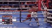toprank fight boxing fighting espn GIF
