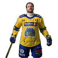 Hamar Sticker by Storhamar Hockey