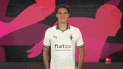 Happy Borussia Moenchengladbach GIF by Bundesliga