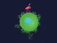 Loop Bird GIF
