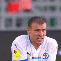 Football Футбол GIF by FC Dynamo Moscow