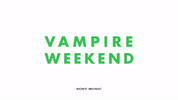 GIF by Vampire Weekend