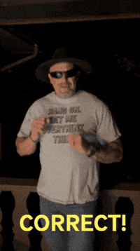 Correct GIF by TheGuy671