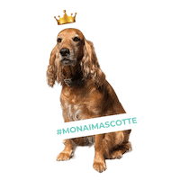 MonaiBelgium dog crown doggy nailart Sticker