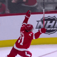 ballysportsdetroit celebrate goal hockey lets go GIF