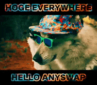 GIF by Hoge Finance