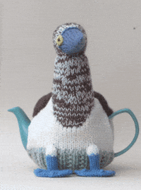 Sea Bird GIF by TeaCosyFolk