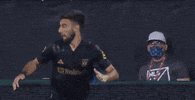 Kick Celebrate GIF by Major League Soccer