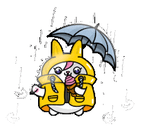 Rain Sticker