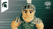 College Sports Mascots GIF by College Colors Day