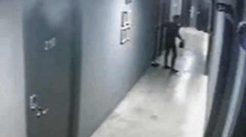 jyujin giphyupload GIF