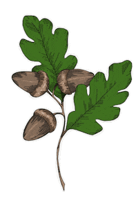 Plant Forest Sticker