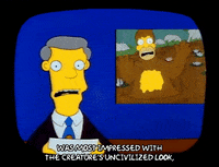 Season 1 GIF by The Simpsons