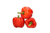 Vegetables Salad Sticker by RijkZwaan