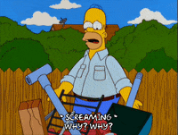 homer simpson GIF
