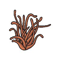 Mushroom Sticker by Fungi Academy