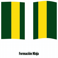Flag Spain GIF by Formación Ninja