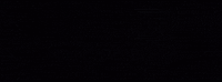 Hollywood Thornhill GIF by unfdcentral
