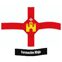 Flag Barcelona Sticker by Formación Ninja