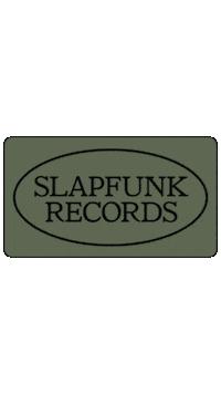 Dj House Sticker by Slapfunk records