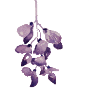 Flower Fiori Sticker by OLIVIA MONTI ARDUINI