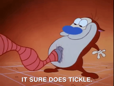 ren and stimpy nicksplat GIF