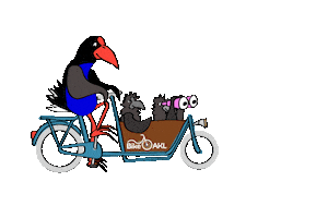 BikeAKL cycling cyclist bikelife auckland Sticker