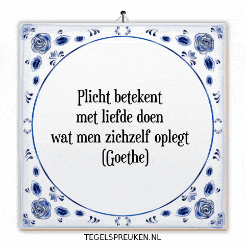 Focus Nl GIF by Tegelspreuken.nl