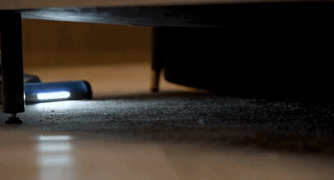 GIF by saysdotcom