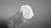 music video GIF by Interscope Records