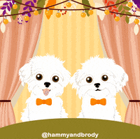 Dogs Dinner GIF by HammyandBrody