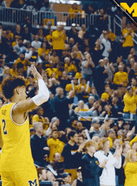 Go Blue College Basketball GIF by Michigan Athletics