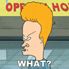 Beavis And Butthead What GIF by Paramount+