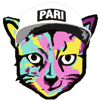 WEAREPARI pari paulripke wearepari ripky Sticker