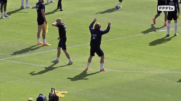 antoine griezmann dancing GIF by Equipe de France de Football