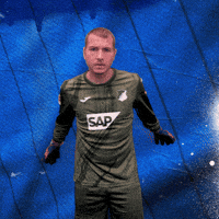 Sport Bundesliga GIF by TSG Hoffenheim