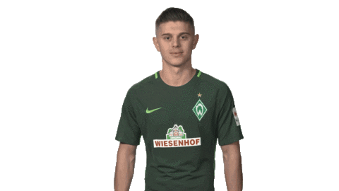 happy werder bremen Sticker by Bundesliga